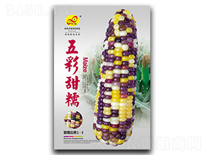 �����Ŵ-Ŵ���׷N��-��ɷN�I(y��)