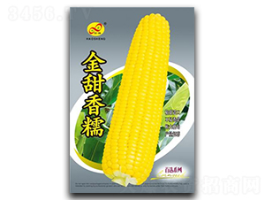 ������Ŵ-Ŵ���׷N��-��ɷN�I(y��)