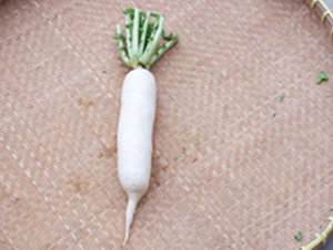 Ͳ���}��-�}���N��-����r(n��ng)�I(y��)