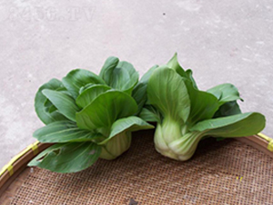 特矮青菜-青梗菜種子-申耕農(nóng)業(yè)