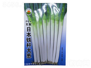 �ձ��F�U���[-���[�N��-�����r(n��ng)�I(y��)