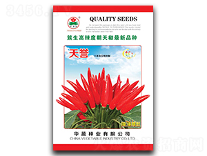 天譽(yù)-朝天椒種子-華蔬種業(yè)