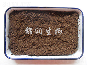 ����ù�P����-�\������