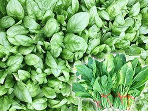 ���W�W-���˷N��-혳�