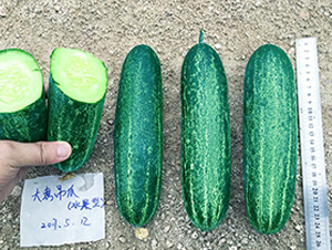 ���-�S�ϷN��-혳�