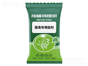 ������������-ǧ���