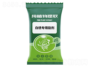 ���P��������-ǧ���