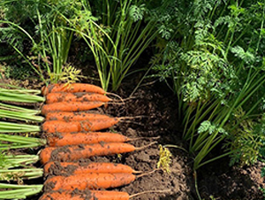 �t��-���}���N��-혳�