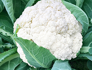 �_������68���ɻ�-��Ҭ�˷N��-혳�