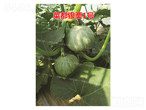 �˶��y��1̖(h��o)-�ϹϷN��-�˶��f(w��n)ʢ