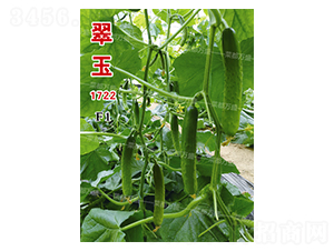 ����1722-�S�ϷN��-�˶��f(w��n)ʢ