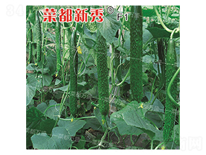 �˶�����-�S�ϷN��-�˶��f(w��n)ʢ