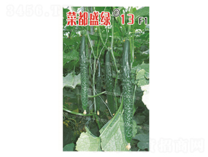 �˶�ʢ�G13-�S�ϷN��-�˶��f(w��n)ʢ