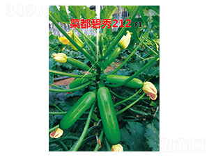 菜都碧秀212-西葫蘆種子-菜都萬(wàn)盛