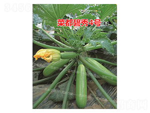菜都碧秀4號(hào)-西葫蘆種子-菜都萬盛