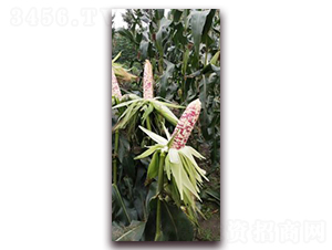 ���FŴ932-Ŵ���׷N��-���A�N�I(y��)