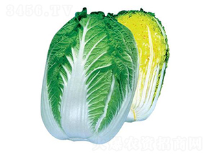 ��ɽ����-��ײ˷N��-���A�N�I(y��)