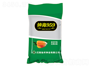 犺�959-���׷N��-�ɺ̷N�I(y��)