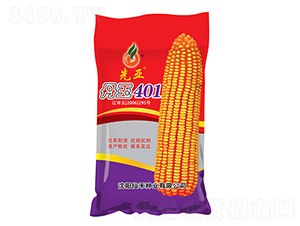 ����401���t����-���׷N��-�ɺ̷N�I(y��)