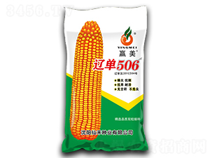 �|��506-���׷N��-�ɺ̷N�I(y��)