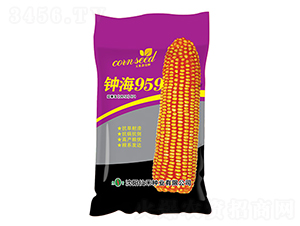 犺�959���ϴ���-���׷N��-�ɺ̷N�I(y��)