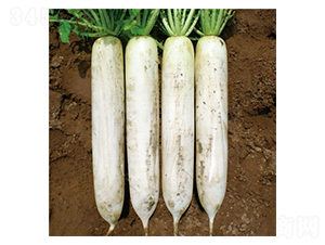 ���w��-�}���N��-��Ļ��