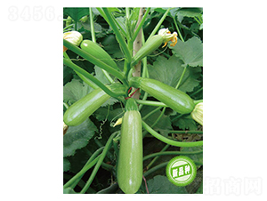 �P��ʮ��̖(h��o)-�����J�N��-�wِ�w