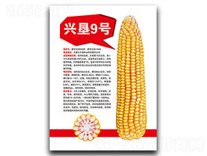 �d��9̖(h��o)-���׷N��-�S���N�I(y��)