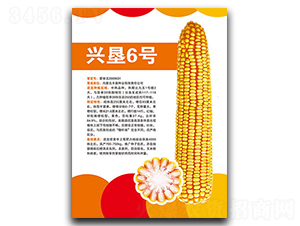 �d��6̖(h��o)-���׷N��-�S���N�I(y��)