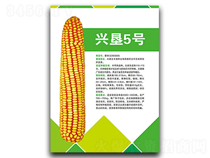 �d��5̖(h��o)-���׷N��-�S���N�I(y��)