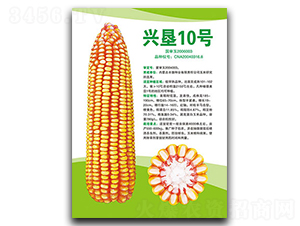 �d��10̖(h��o)-���׷N��-�S���N�I(y��)