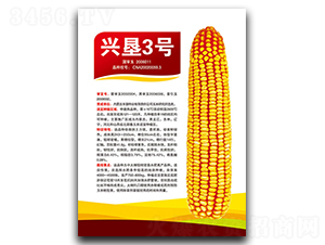 �d��3̖-���׷N��-�S���N�I(y��)