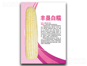 �S����Ŵ-Ŵ���׷N��-�S���N�I(y��)