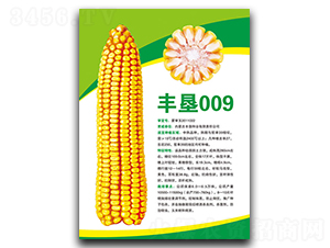 �S��009-���׷N��-�S���N�I(y��)