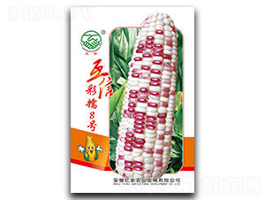 ���Ų�Ŵ8̖-Ŵ���׷N��-�|���r(n��ng)�I(y��)