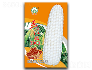 ����Ŵ3000-Ŵ���׷N��-�|���r(n��ng)�I(y��)