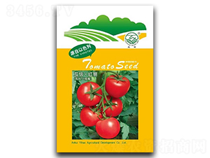 �t��-���ѷN��-�|���r(n��ng)�I(y��)