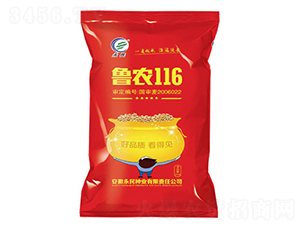 魯農(nóng)116-大豆種子-永民種業(yè)
