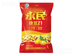 徐豆21-大豆種子-永民種業(yè)