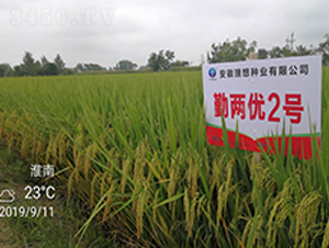 �ڃɃ�(y��u)2̖-ˮ���N��-����N�I(y��)