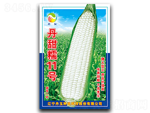 ����Ŵ11̖-Ŵ���׷N��-����N�I(y��)