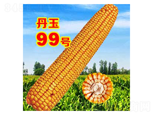 ����99̖(h��o)-���׷N��-����N�I(y��)