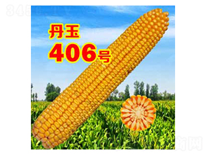 ����406̖(h��o)-���׷N��-����N�I(y��)