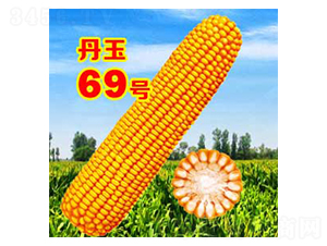 ����69̖(h��o)-���׷N��-����N�I(y��)