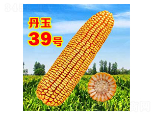 ����39̖(h��o)-���׷N��-����N�I(y��)