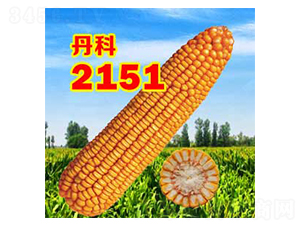 ����2151-���׷N��-����N�I(y��)