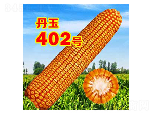 ����402̖-���׷N��-����N�I(y��)