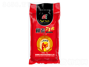 ����716���t����-С���N��-���S�N�I(y��)