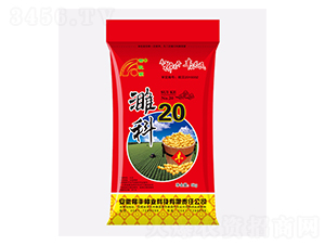 塿�20-�S���N��-���S�N�I(y��)