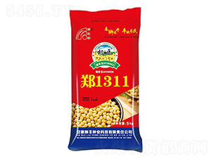 鄭1311-黃豆種子-柳豐種業(yè)